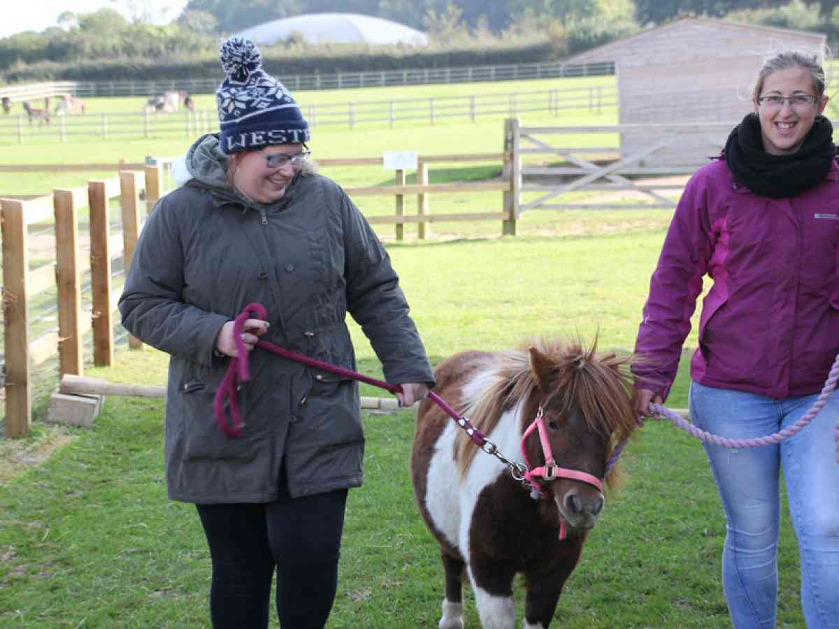 Isle Of Wight Donkey Sanctuary picture gallery